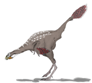 Una impresión artística de un Caudipteryx. Ilustración: Matt Martyniuk